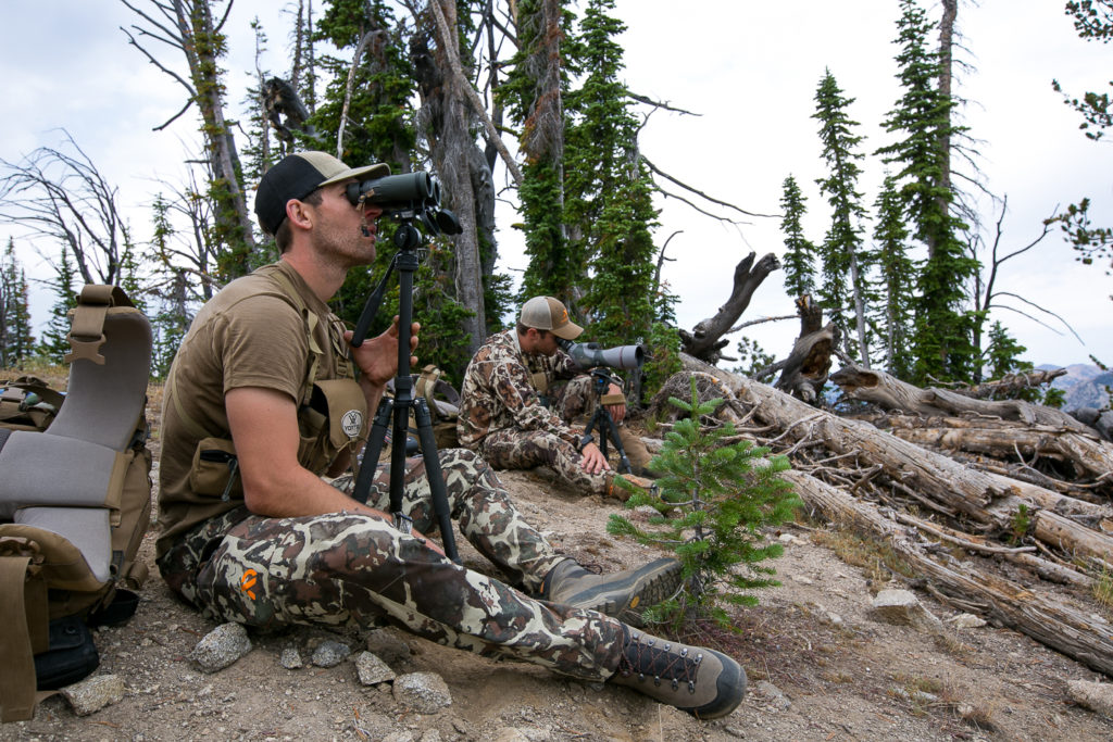 Glassing for High Country Bucks