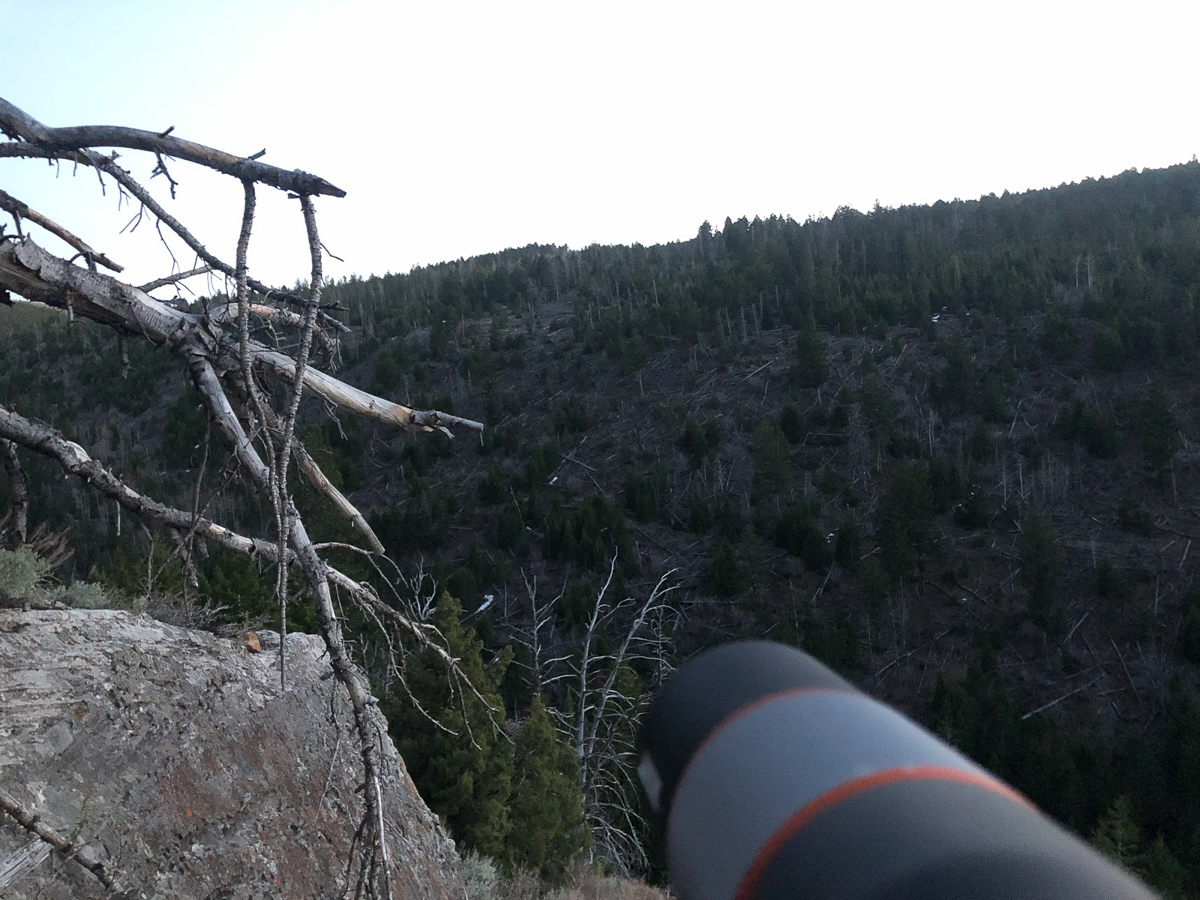Spotting scope in Wyoming bear country