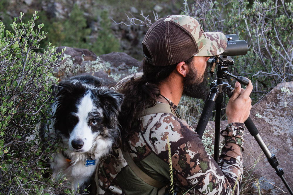 bowhunting coues deer