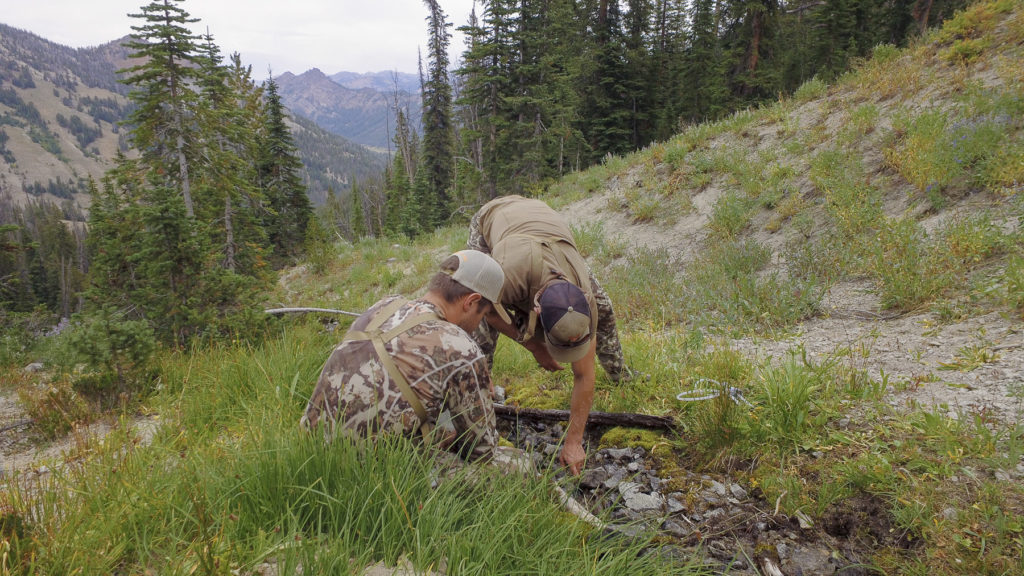 filtering water backcountry mule deer hunting