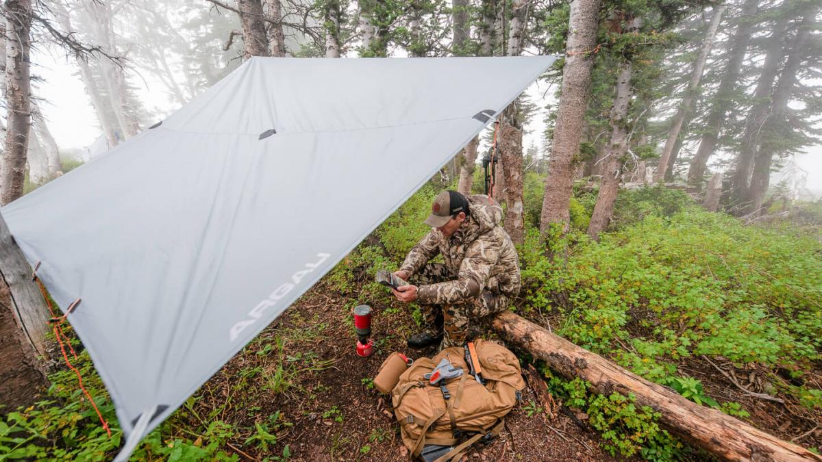 Argali Talus Tarp