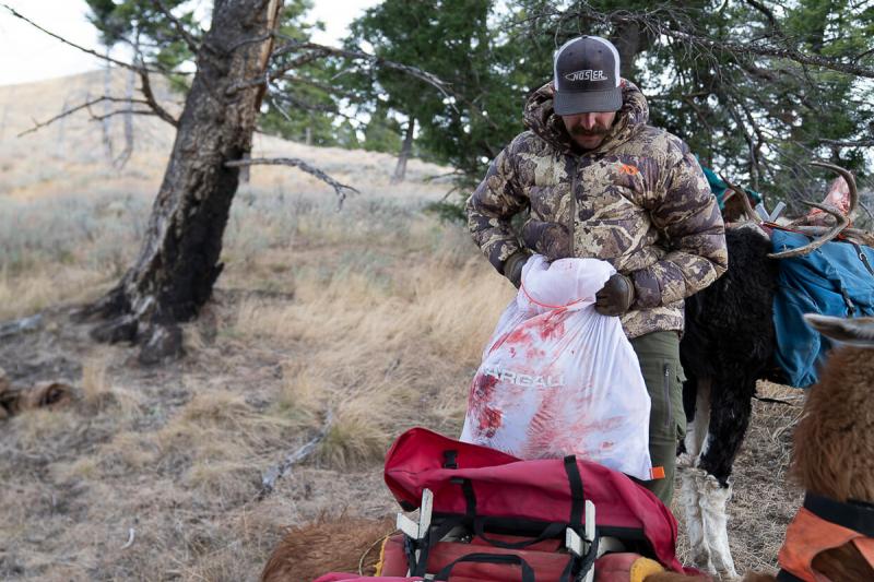 Hunter loading up game meat in reusable game bag