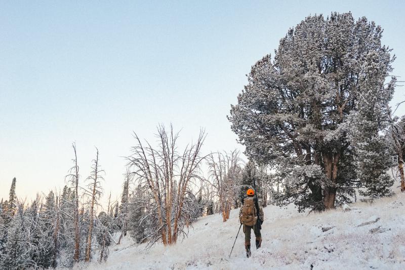 Late Season Rifle Gear